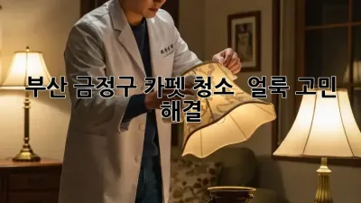 부산 금정구 카펫 청소 ✨ 얼룩 고민 해결!