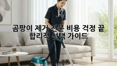 곰팡이 제거 전문: 비용 걱정 끝! 합리적 선택 가이드 💡