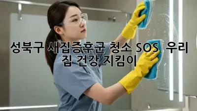 성북구 새집증후군 청소 SOS 🚨 우리 집 건강 지킴이!