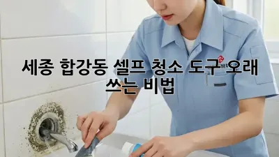 세종 합강동 셀프 청소 도구 오래 쓰는 비법