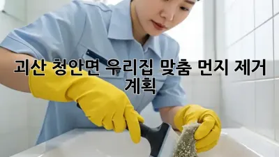 괴산 청안면 우리집 맞춤 먼지 제거 계획!