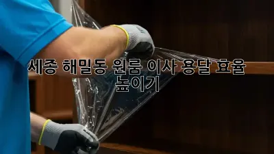 세종 해밀동 원룸 이사, 용달 효율 높이기