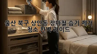 울산 북구 상안동 장마철 습기 제거 청소 완벽 가이드