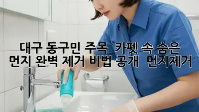 대구 동구민 주목! ✨ 카펫 속 숨은 먼지, 완벽 제거 비법 공개! 🏡 #먼지제거