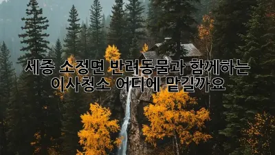 세종 소정면 반려동물과 함께하는 이사청소, 어디에 맡길까요?