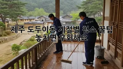 제주 도두이동🏡 계절별 청소 꿀팁!✨ 놓치면 후회해요!