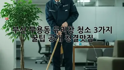 부산 부용동 유리창 청소✨ 3가지 꿀팁 공개! #청결맛집