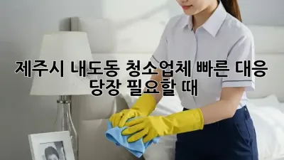 제주시 내도동 ⚡️청소업체 빠른 대응⚡️ 당장 필요할 때!