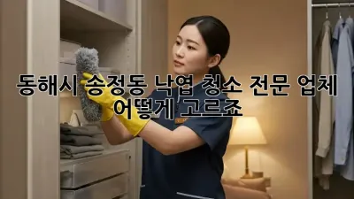 동해시 송정동 낙엽 청소, 전문 업체 어떻게 고르죠?