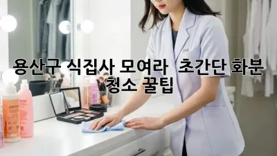 용산구 식집사 모여라! ✨ 초간단 화분 청소 꿀팁 🌿