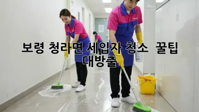 보령 청라면 세입자 청소 ✨ 꿀팁 대방출! 🏠🧹