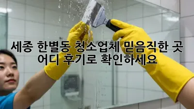 세종 한별동 청소업체, 믿음직한 곳 어디? 후기로 확인하세요!
