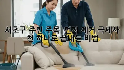 서초구 주민 주목! ✨ 먼지 제거, 극세사 천 하나로 끝내는 비법 🤫