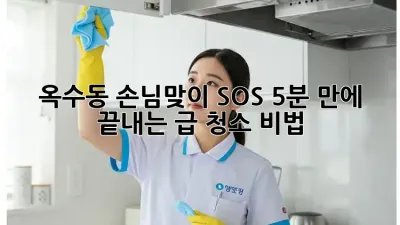 🏡 옥수동 손님맞이 SOS! 5분 만에 끝내는 급 청소 비법 💨